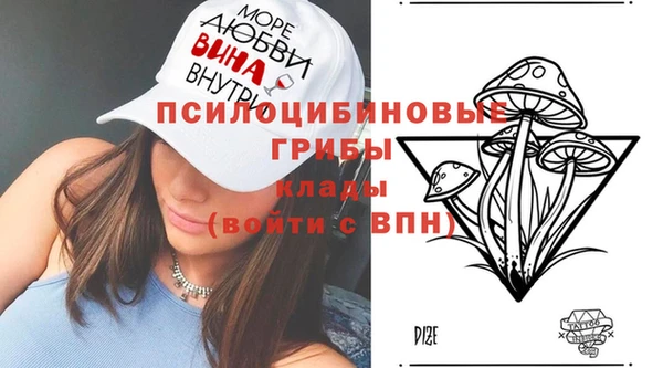 эйфоретик Балахна