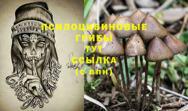 2c-b Баксан