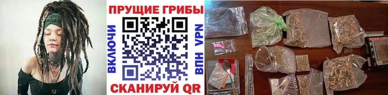 Псилоцибиновые грибы прущие грибы  блэк спрут онион  Урай 